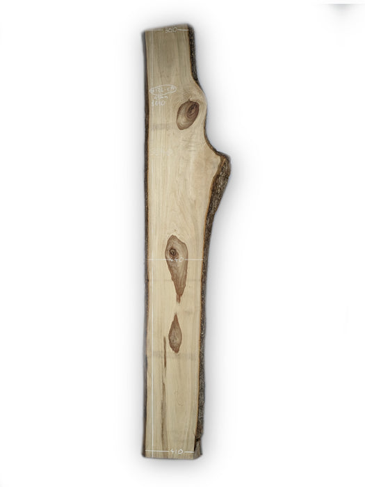 Camphor Laurel Live Edge Timber Slab - Kiln Dried - #126-CA