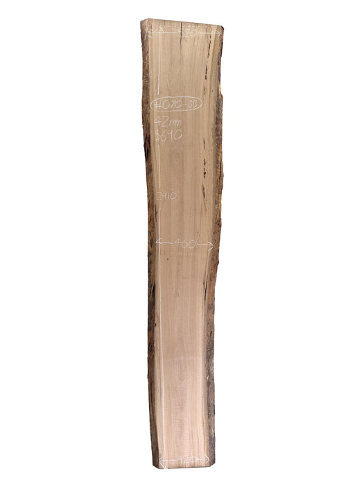 Blackbutt Live Edge Hardwood Timber Slab - Kiln Dried - #070-BB