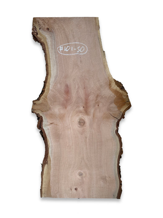 Silky Oak Live Edge Hardwood Timber Slab - Kiln Dried - #101-SO