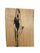 Blackbutt Live Edge Timber Slab - Kiln Dried - #002-BB - Wood Slabs - Natural Edge Furniture - Timber Slabs Central Coast - Live Edge Timber Slabs