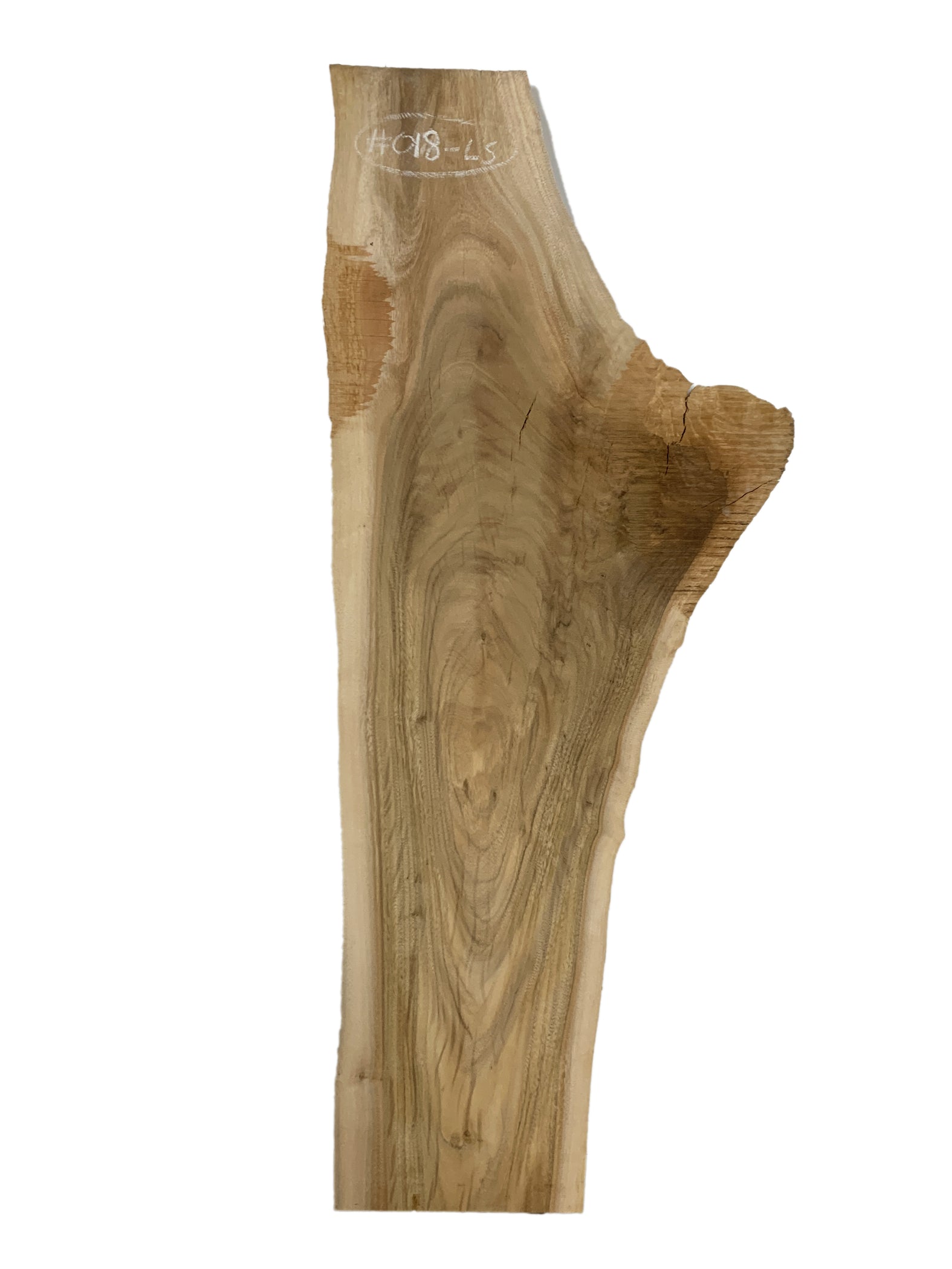 Lemon Slab Lemon Scented Gum Live Edge Hardwood Timber Slab - Kiln Dried - #018-L ...
