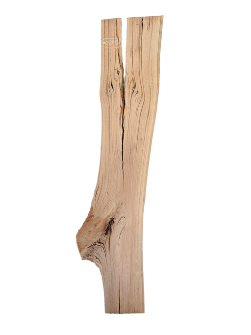 Blackbutt Live Edge Hardwood Timber Slab - Kiln Dried - #029-BB - Wood Slabs - Natural Edge Furniture - Timber Slabs Central Coast - Live Edge Timber Slabs