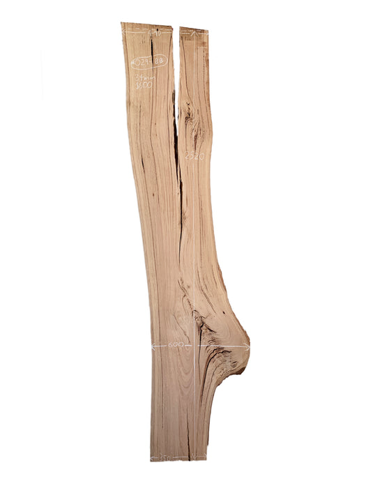 Blackbutt Live Edge Hardwood Timber Slab - Kiln Dried - #029-BB - Wood Slabs - Natural Edge Furniture - Timber Slabs Central Coast - Live Edge Timber Slabs