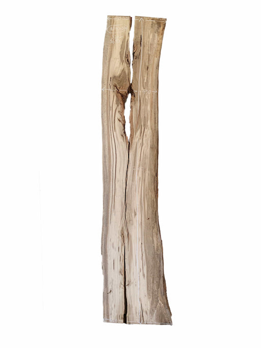 Spotted Gum Live Edge Hardwood Timber Slab - Kiln Dried - #040-SG - Wood Slabs - Natural Edge Furniture - Timber Slabs Central Coast - Live Edge Timber Slabs