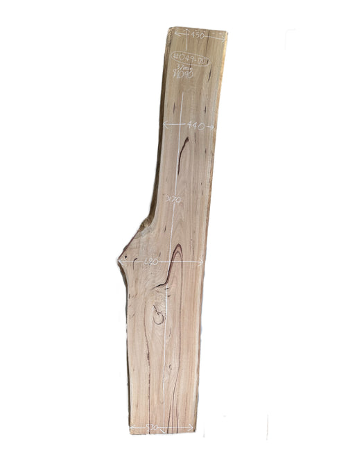 Blackbutt Live Edge Hardwood Timber Slab - Kiln Dried - #049-BB - Wood Slabs - Natural Edge Furniture - Timber Slabs Central Coast - Live Edge Timber Slabs