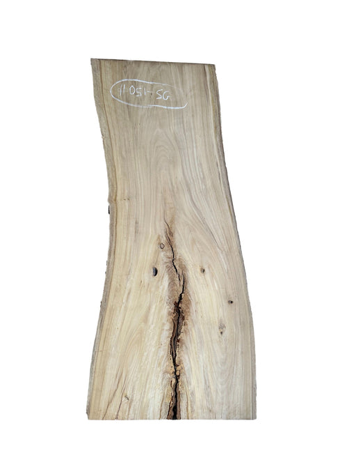 Spotted Gum Live Edge Hardwood Timber Slab - Kiln Dried - #051-SG - Wood Slabs - Natural Edge Furniture - Timber Slabs Central Coast - Live Edge Timber Slabs